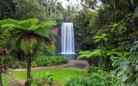Daintree National Park