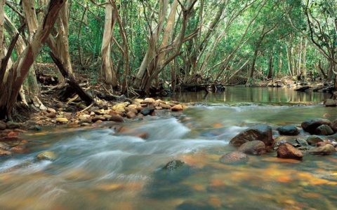 Tully Gorge National Park